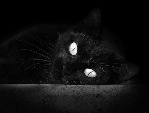 《Dota 2天梯之夜,逆转奇迹不断》,dota2经典天梯和天梯定位