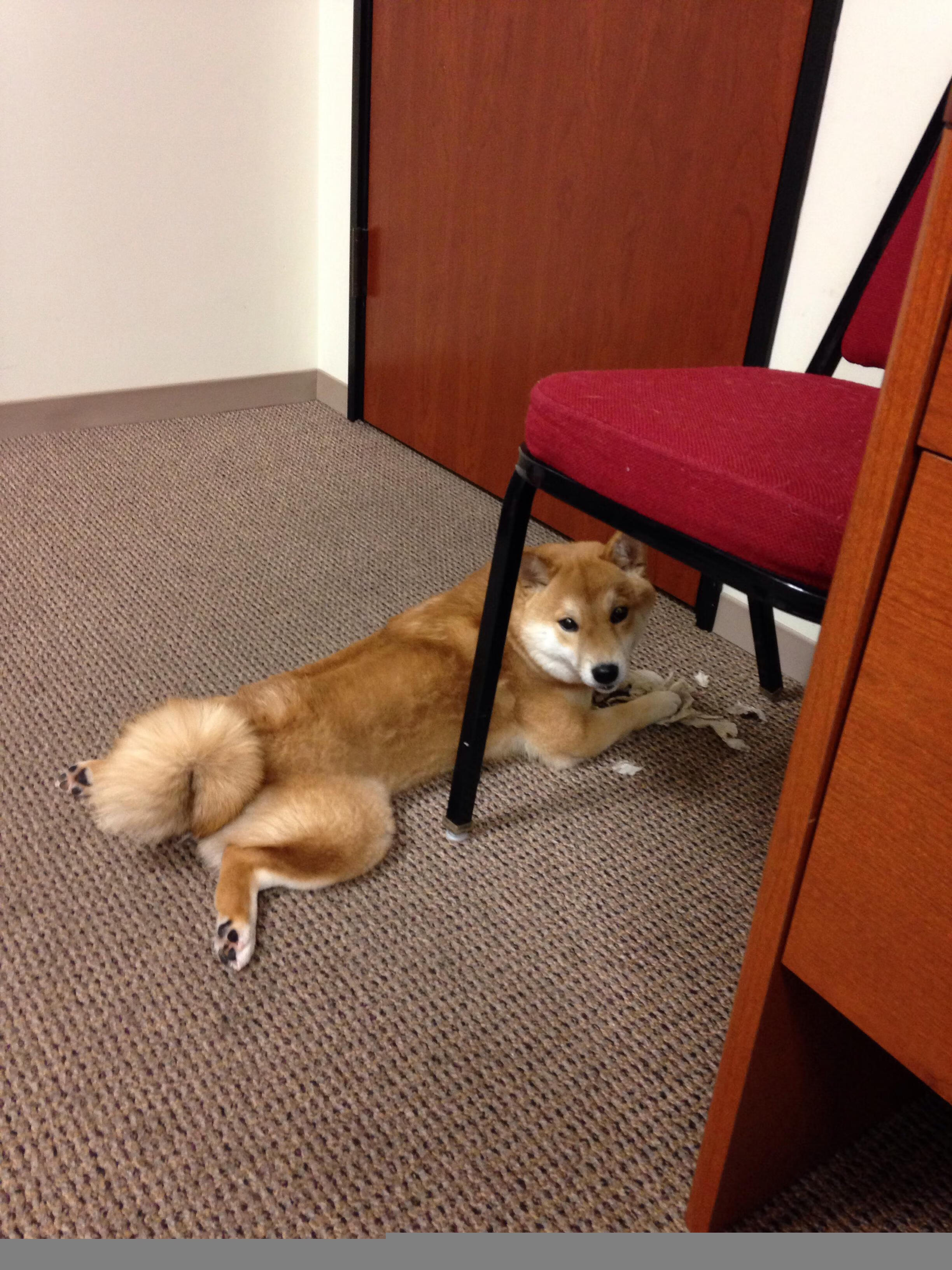 《热血少年:青少年电竞赛事精彩纷呈》,热血少年tv