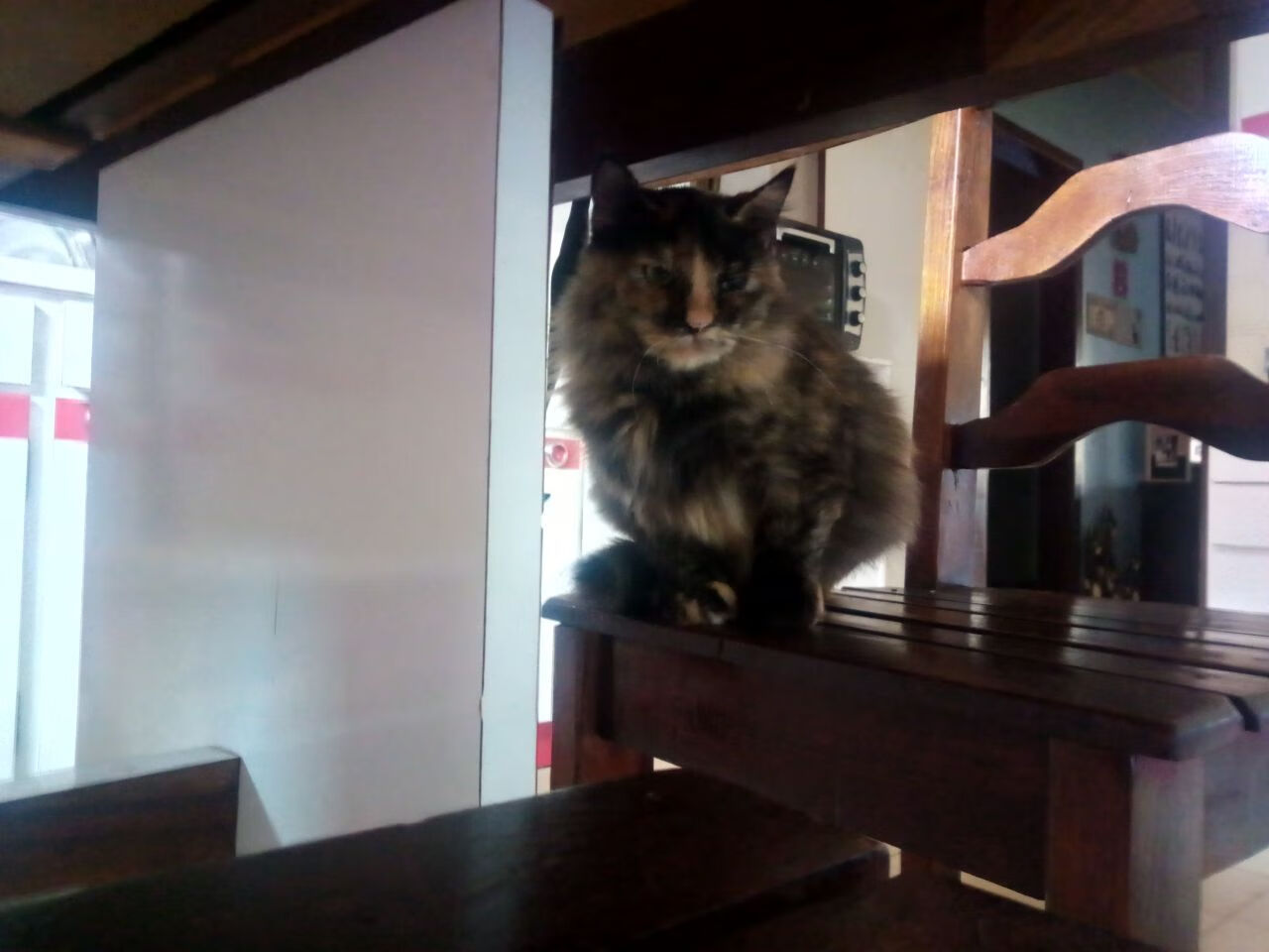 开云网页版登录入口-WRC新规则上线：极速变革激发新战火，wrc1