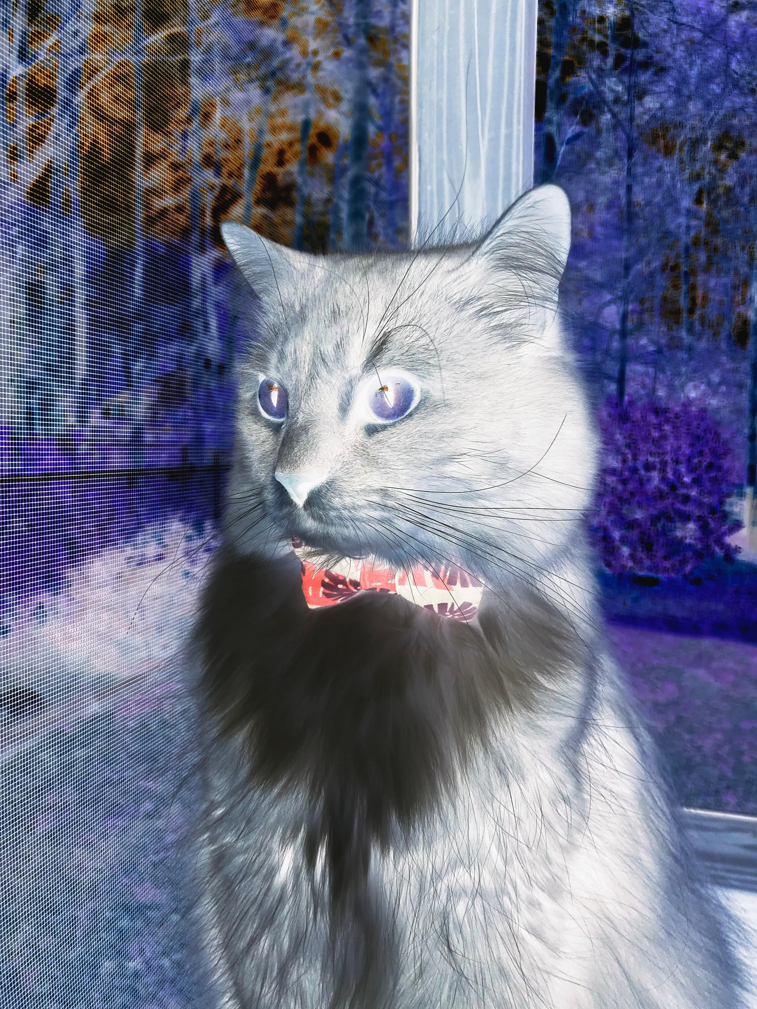 kaiyun体育app-《高校电竞专业逐步普及，未来电竞人才供应链已形成》，高校电竞产业链